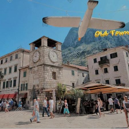 Old Town Heart Daire Kotor Dış mekan fotoğraf