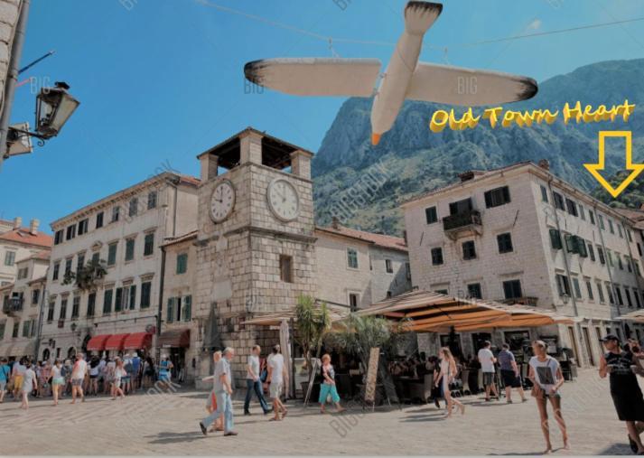 Old Town Heart Daire Kotor Dış mekan fotoğraf